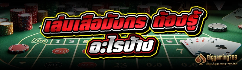 เล่นเสือมังกร ต้องรู้อะไรบ้าง